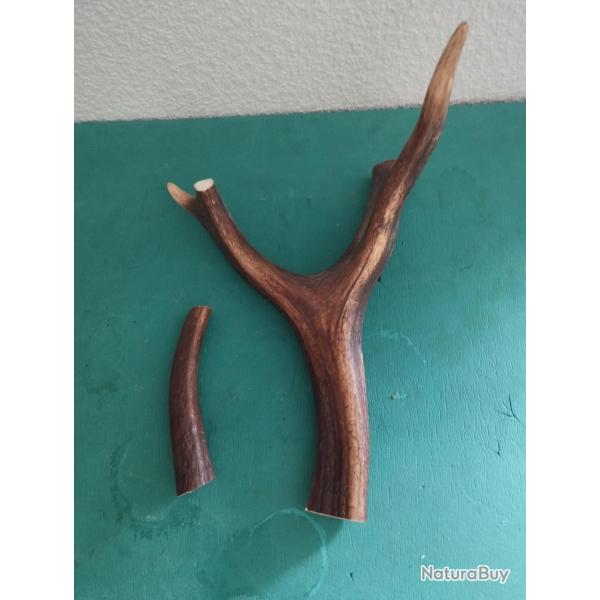 2 MORCEAUX BOIS MUES CERF TEINTS DE 15 ET 32CM COUTELLERIE USAGE DIVERS