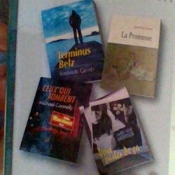 Terminus Belz - La promesse - Ceux qui tombent - Vous parlez de ca - Selection du livre -