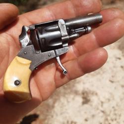 Mini 22 chort