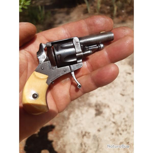 Mini 22 chort