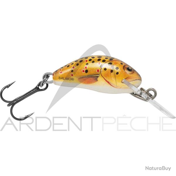 Poisson nageur SALMO Hornet 2 S Trout