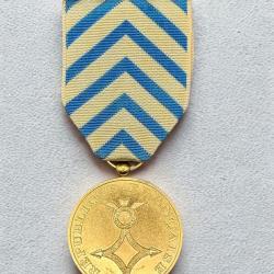 (75.001) Médaille d'Afrique du nord