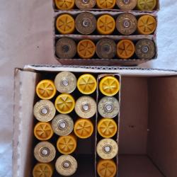 Lot de 33 Cartouches Cal.20 / 70 et 76