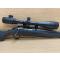 petites annonces chasse pêche : Ruger Américan Calibre 243 Win - lunette Electro Point 4-16x44 à 1 sans prix de réserve !