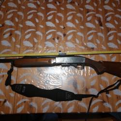 Carabine 280