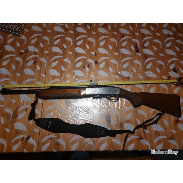 Carabine 280