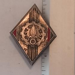 Insigne de la compagnie de transport de la Légion étrangère 2/519 (CTLE)