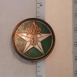 Insigne de la compagnie montée du 1er régiment étranger d'infanterie (1er REI)