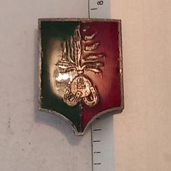 Insigne de la compagnie montée du 2ème régiment étranger d'infanterie (2ème REI)