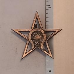 Insigne du 3ème escadron du 1er régiment étranger de cavalerie (1er REC)