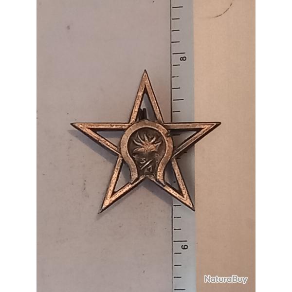 Insigne du 3me escadron du 1er rgiment tranger de cavalerie (1er REC)