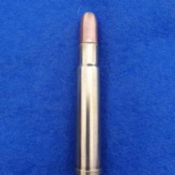 cartouche 460 Weatherby magnum