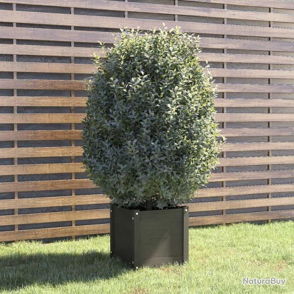 Jardinire Gris 40x40x40 cm Bois de pin massif