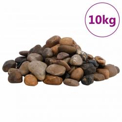 Galets polis 10 kg multicolores 2-5 cm