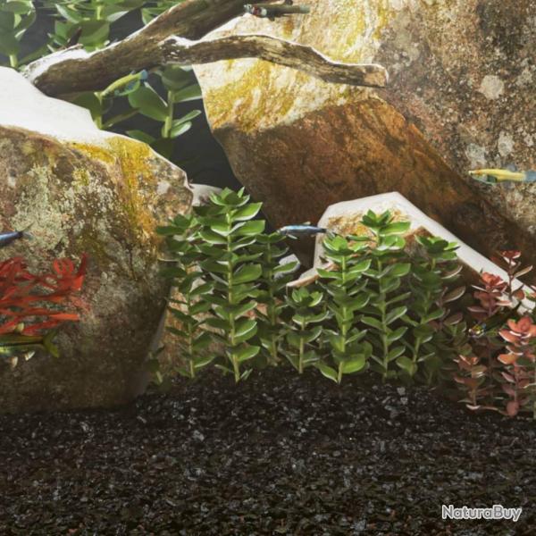 Sable pour aquarium 10 kg noir 0,2-2 mm
