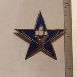 Insigne de la section éclaireur skieur (SES) du 43ème régiment d'infanterie (43ème RI)