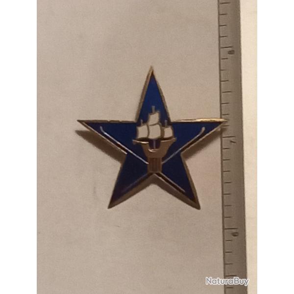 Insigne de la section claireur skieur (SES) du 43me rgiment d'infanterie (43me RI)