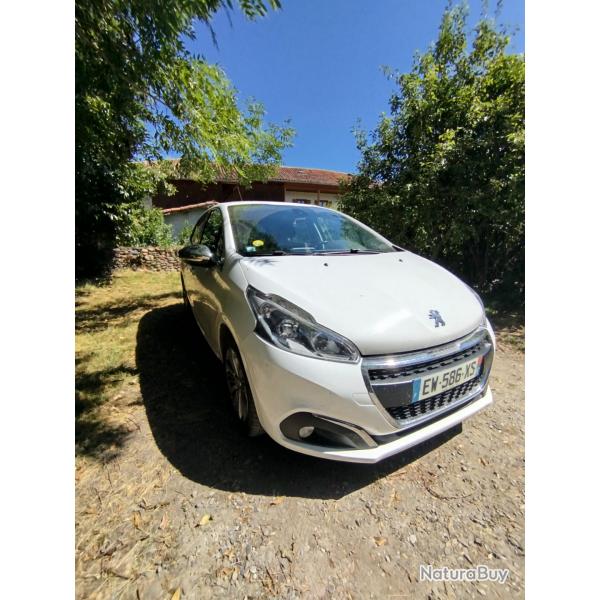 Peugeot 208 1.6L 100cv