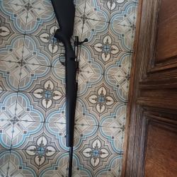 Carabine weatherby 308