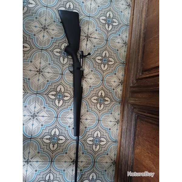 Carabine weatherby 308