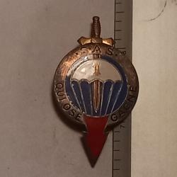 Insigne du 1er régiment parachutiste d'infanterie de Marine (1er RPIMa)