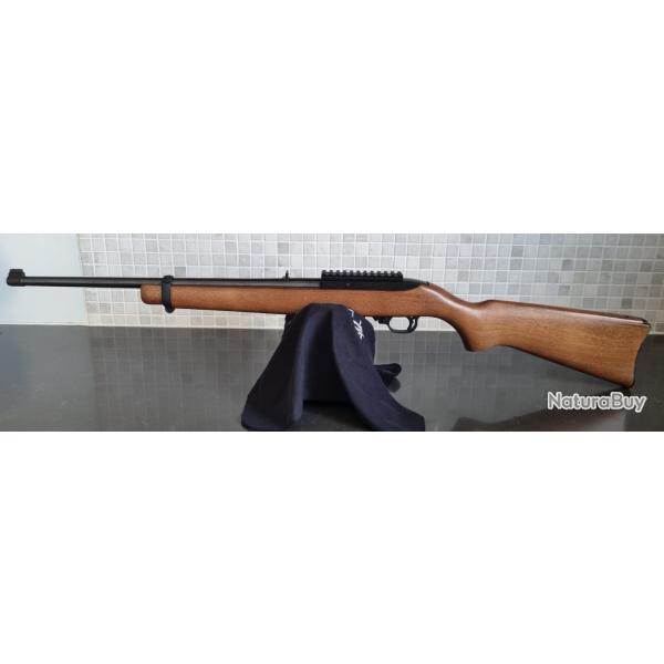 Ruger 10-22 bois rail picatinny