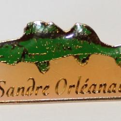 Pin's "Thème pêche": Sandre Orléanais