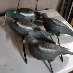 lot de forme pigeons ramiers