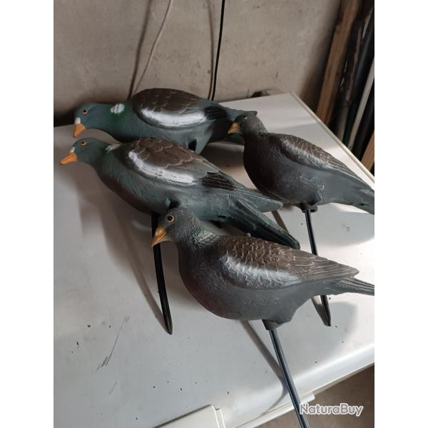 lot de forme pigeons ramiers