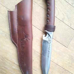Wildsteer marron