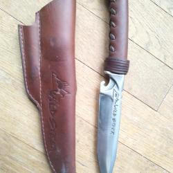 Wildsteer marron
