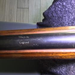 Carabine BSA 22lr admissible TAR