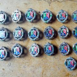 insigne militaire legion cavalerie 1 R.E.C