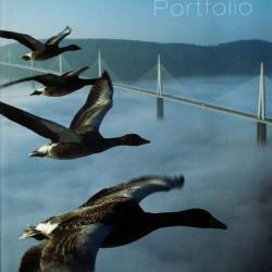 Le Viaduc de Millau-The Millau Viaduct: Portfolio, Edition bilingue français-anglais