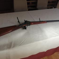 carabine  sharps 45.70