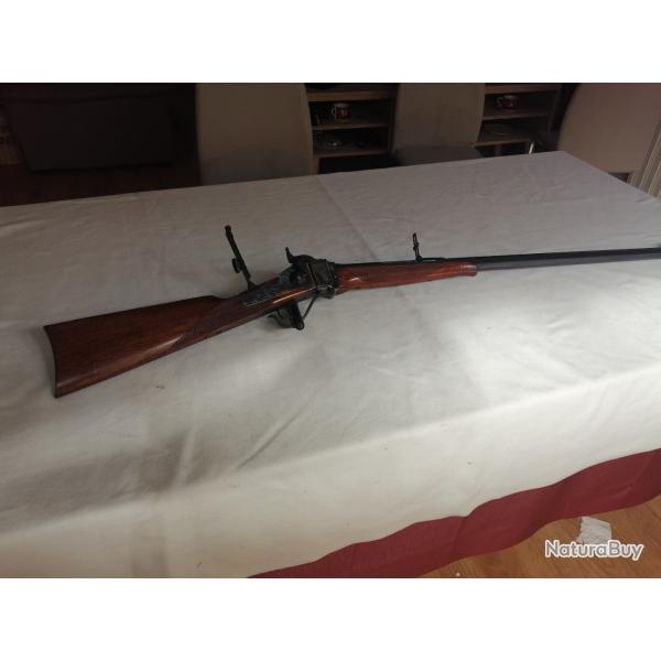 carabine  sharps 45.70