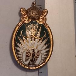 Insigne du 13ème régiment de dragons parachutistes (13ème RDP)