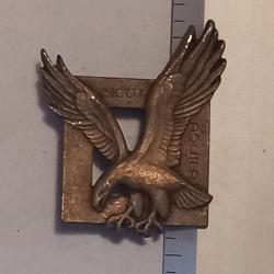 Insigne des commandos de l'air