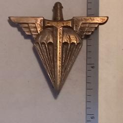 Insigne de la base-école des troupes aéroportées (BETAP)