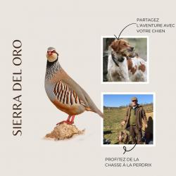 Chasse aux perdrix sauvages