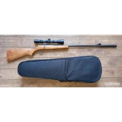 Carabine 22LR démontable dans un étui à violon