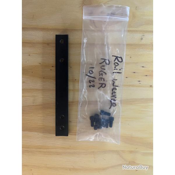 Rail weaver Ruger 10/22