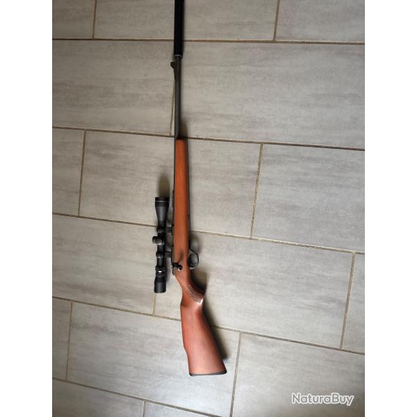Vds 22 LR Armscor model 1400