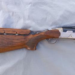 Beretta 694 ACS