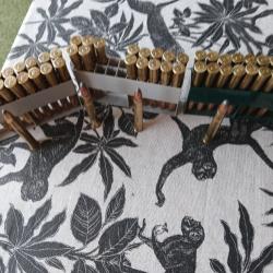 Lot balles 9,3x74