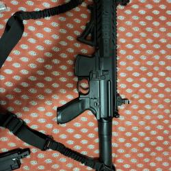 Sig sauer MPX