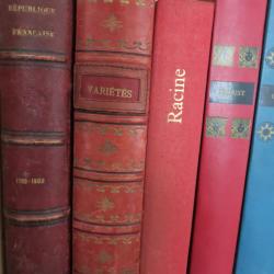 Faux livre contenant un révolver Lefaucheux 9mm