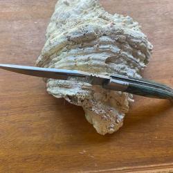 COUTEAU PRADEL EVOLUTION    1  2025  n