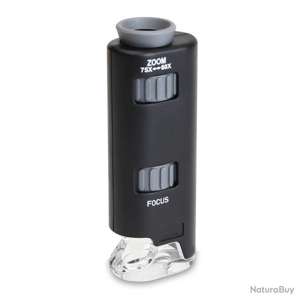 CARSON MicroMax LED
