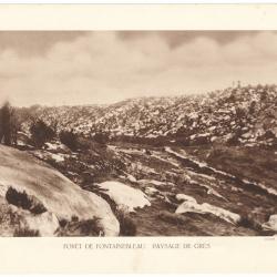 TIRAGE DE CLICHÉ TYPE GRAVURE - COMPAGNIE AÉRIENNE FRANÇAISE - FORÊT DE FONTAINEBLEAU